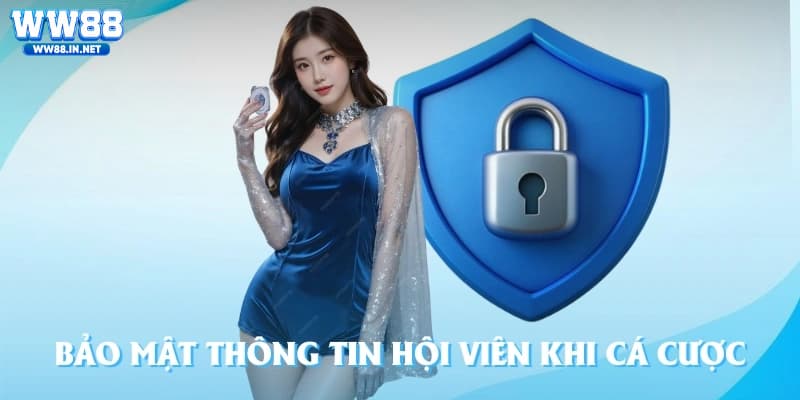 Các vai trò của chính sách Các vai trò của chính sách